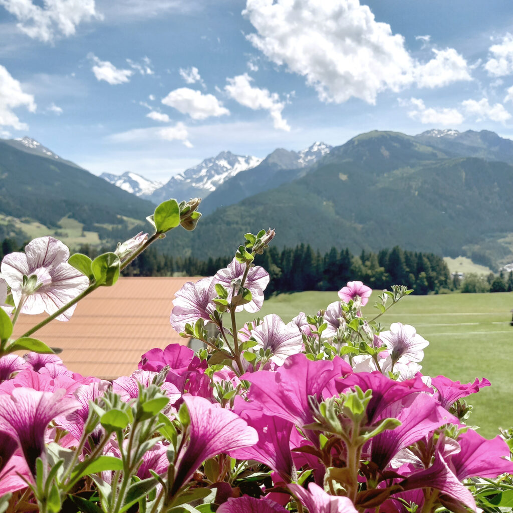 Die wundervolle Aussicht vom Schranzlhof in die Hohen Tauern